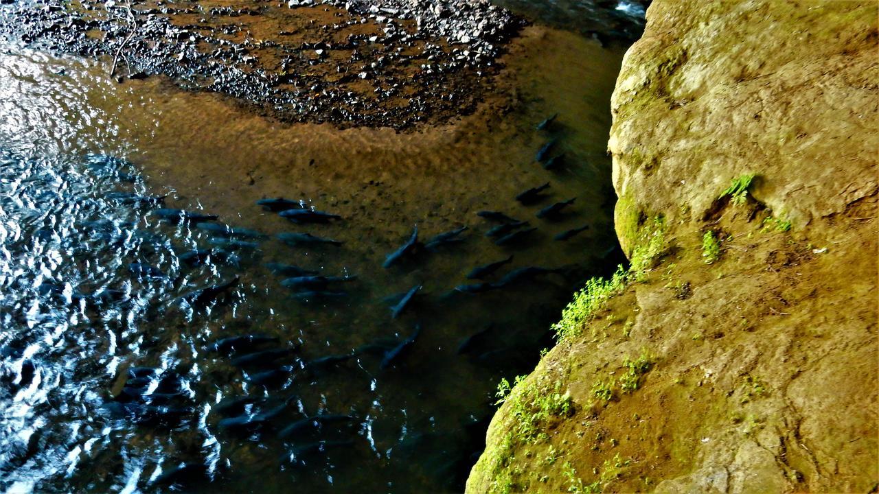 Riverside Ban Cho Lae Eksteriør billede